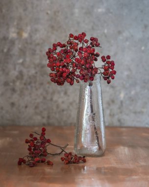 Kahverengi ahşap arka planda cam bir şişede Rowan 'ın kuru filizi, yakın çekim.