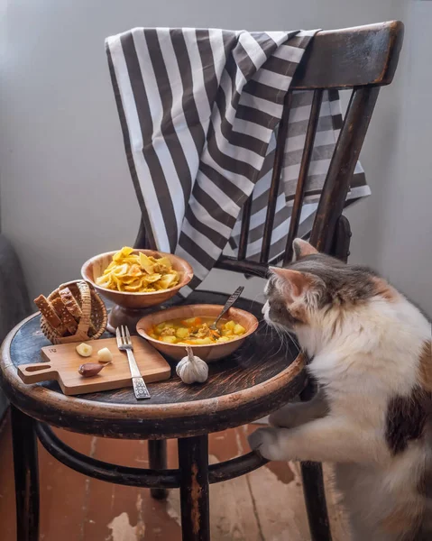 Un Gato Joven Y Fluffy Sabe a Mariscos Y Café Con Chocolate Sobre La Mesa  Foto de archivo - Imagen de cristal, capuchino: 177908802