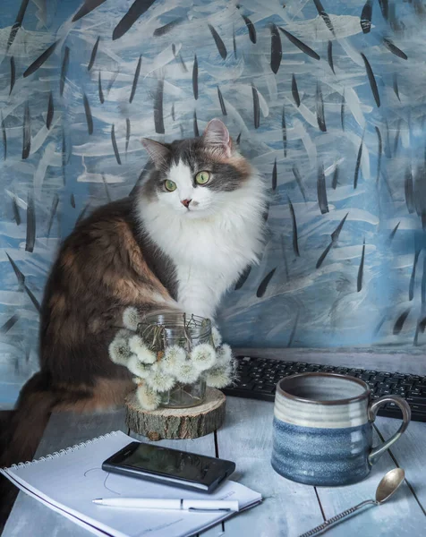 A young fluffy cat is sitting on the table. A set of spreads for online work at home. Cell phone and pad with pen