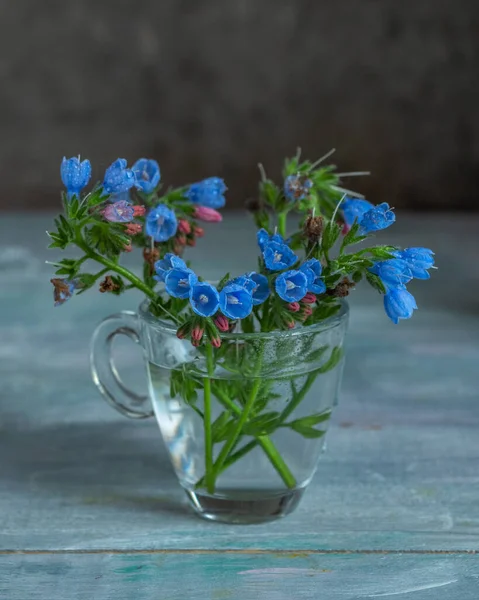 Modesto Ramo Flores Azules Silvestres Una Taza Vidrio Sobre Una — Foto de Stock