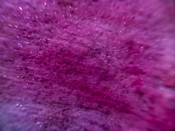 mor parlak arka plan