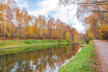 Gölet Sokolniki Park, sonbahar parlak manzara