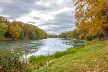 Kuzminki Park, gri fırtınalı gökyüzü, sonbahar manzara, Moskova gölet