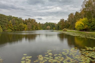 Kuzminki Park, gri fırtınalı gökyüzü, sonbahar manzara, Moskova gölet