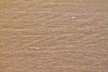 Günbatımında ıslak altın kum makro, soyut doku