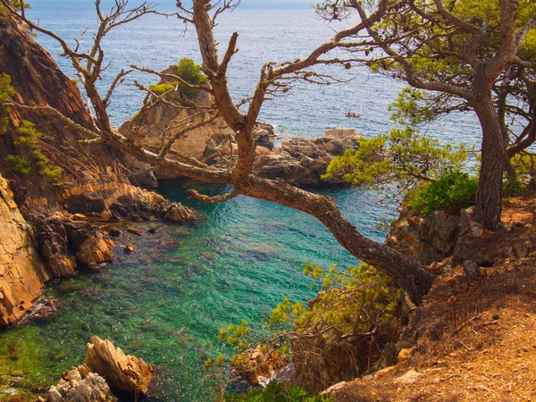 Caleta secreta en la Costa Brava, Mar Mediterráneo — Foto de Stock