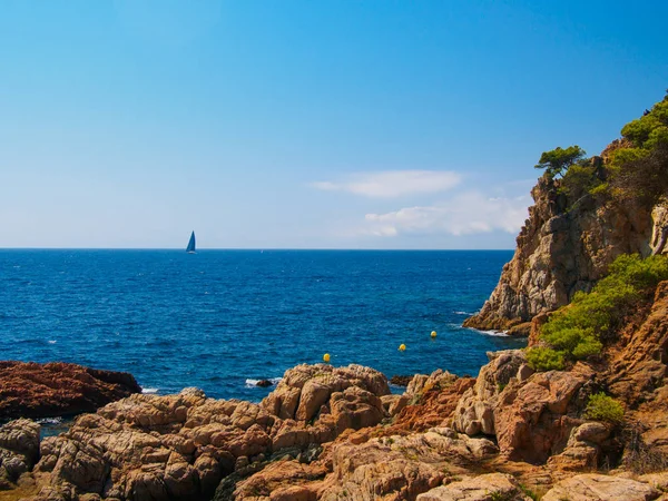 Velero en el mar Mediterráneo, Costa Brava —  Fotos de Stock