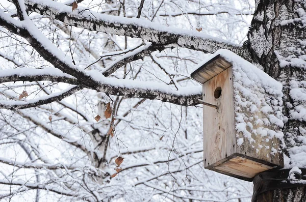 Birdhouse on a snowy tree — Stock Photo, Image