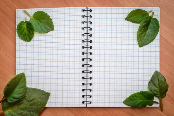 Offener Notizblock mit Rahmen aus grünen Blättern — Stockfoto