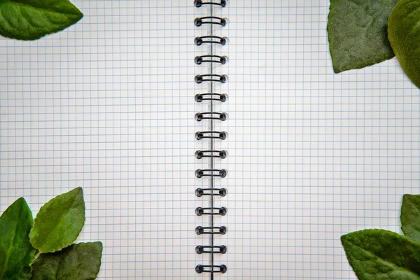 Open notepad with a frame of green leaves — Stock Photo, Image