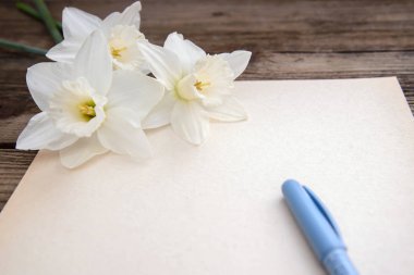 Kağıt ahşap arka plan üzerinde kalem ve beyaz nergis ile