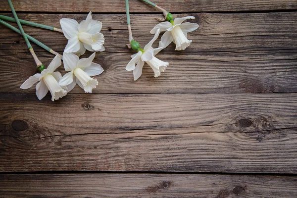 Narcisos sobre fondo de madera — Foto de Stock