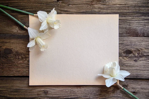 White daffodils on a piece of paper on wood background — Stock Photo, Image