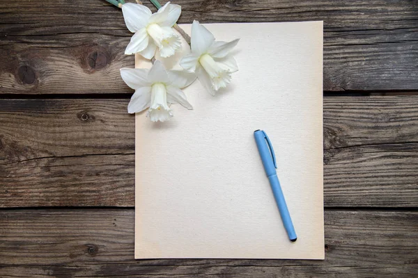 Кусок бумаги с ручкой и белыми нарциссами на деревянном фоне — стоковое фото