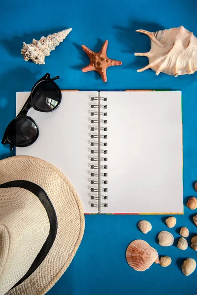 Bright blue picture with an open notebook, a shell, hat, sunglasses