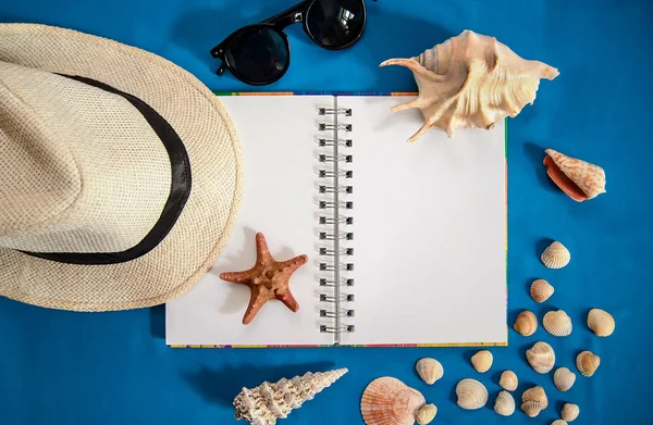 Bright blue picture with an open notebook, a shell, hat, sunglasses