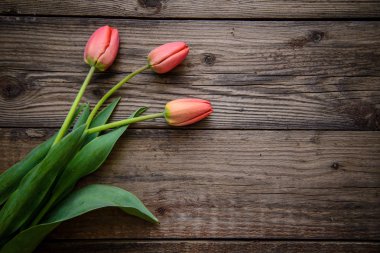 ahşap zemin üzerinde üç kırmızı lale