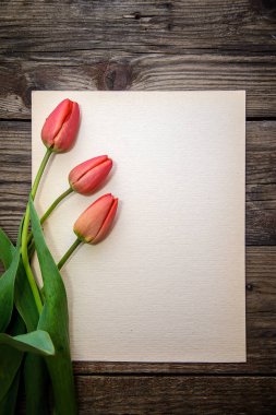 Üç kırmızı lale ve kahverengi ahşap arka plan üzerinde bir kağıda