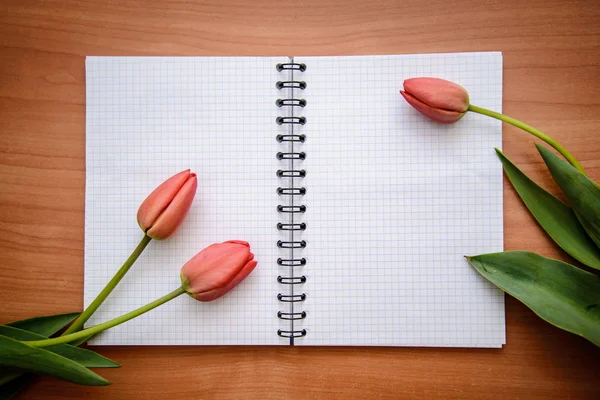 Красные тюльпаны и открытый блокнот — стоковое фото