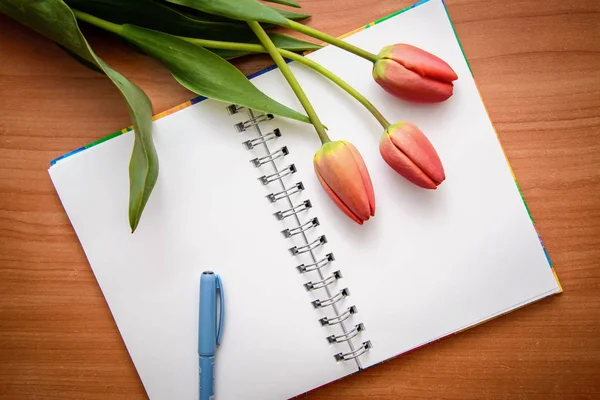 Rote Tulpen und offener Notizblock — Stockfoto