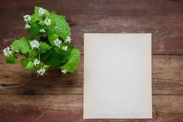 Small white flowers on a wooden background with sheet of paper with copy space — Stock Photo, Image