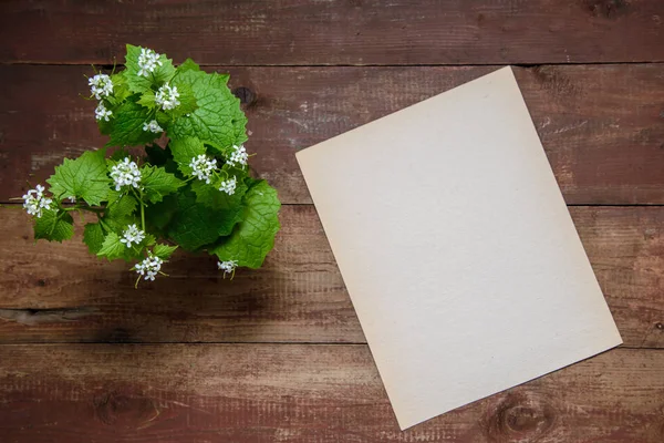 Small white flowers on a wooden background with sheet of paper with copy space — Stock Photo, Image