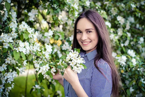 花朵盛开的苹果树身边的女孩 — 图库照片