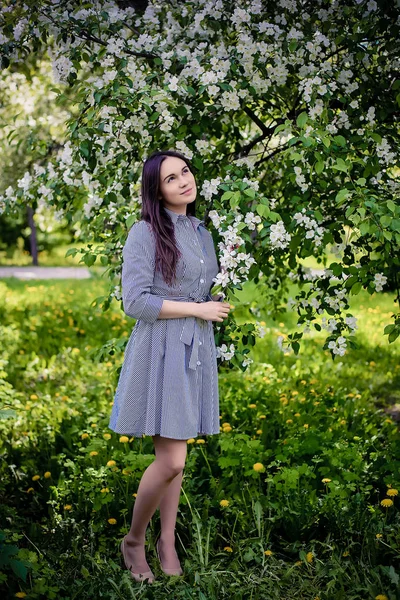 花朵盛开的苹果树身边的女孩 — 图库照片