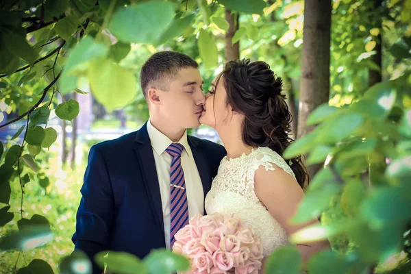 Η νύφη και ο γαμπρός φιλιά μεταξύ το πράσινο φύλλωμα — Φωτογραφία Αρχείου