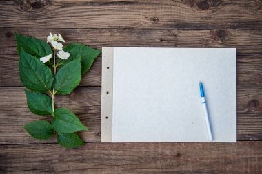 Bir kağıt bir kalem ve ahşap arka plan üzerinde bir bahar dalı-Yasemin
