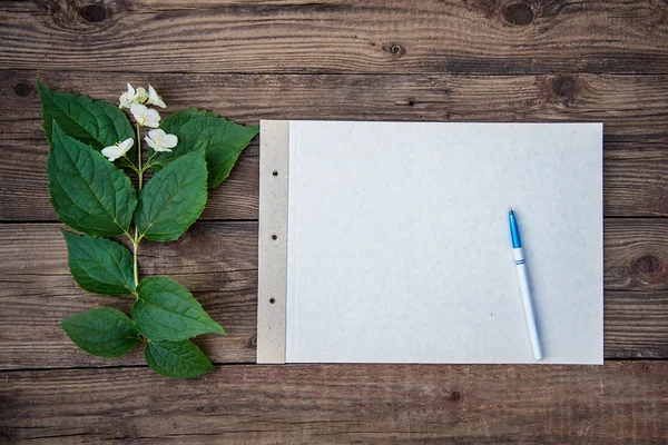 Une feuille de papier avec un stylo et un brin de Jasmin sur fond de bois — Photo