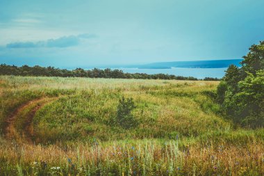 Yaz peyzaj alanı olan