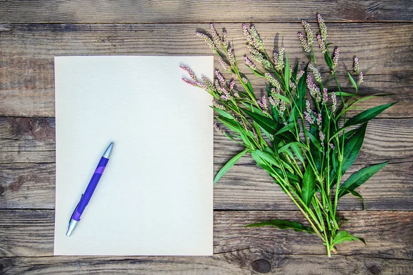 Карта: аркуш паперу, ручка і маленькі квіти на дерев'яному фоні — стокове фото