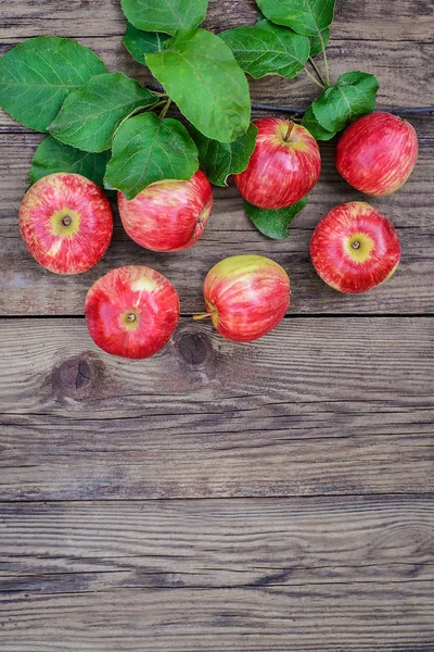 Seven red apples on wooden background