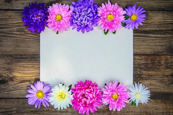 Frame of flowers of asters on wooden background