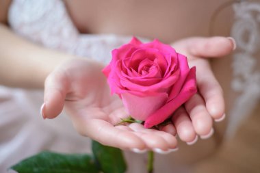 Gelin closeup elinde pembe Gül