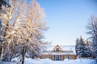 Ağaç ve ev kar kış manzara