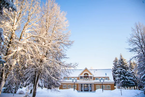 Ağaç ve ev kar kış manzara
