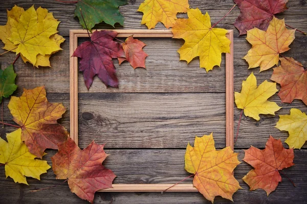 Осіння картина жовтого листя і дерев'яна рамка — стокове фото