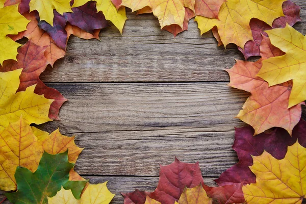 Рамка осіннього листя на дерев'яному фоні — стокове фото