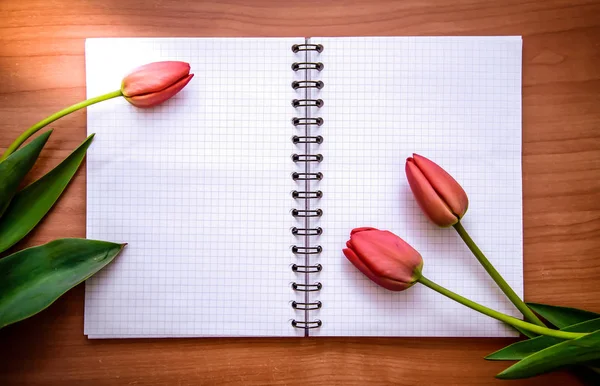 Tulipes rouges et bloc-notes ouvert — Photo