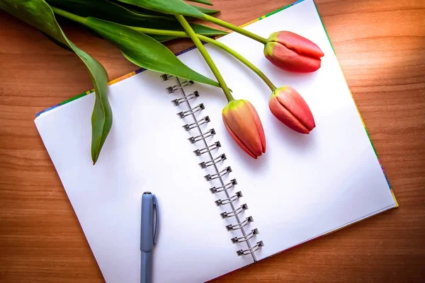 Red tulips and open notepad — Stock Photo, Image
