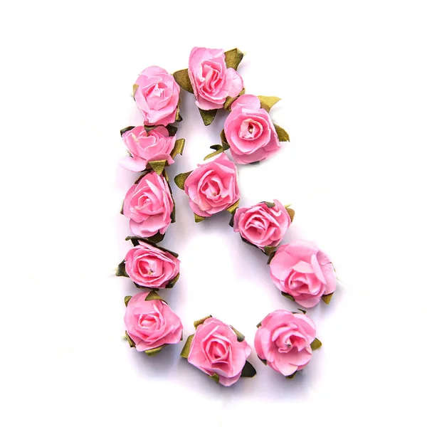 Letra B del alfabeto inglés de rosas rosadas sobre fondo blanco — Foto de Stock