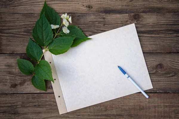 Une branche de Jasmin et feuille de papier sur fond de bois — Photo