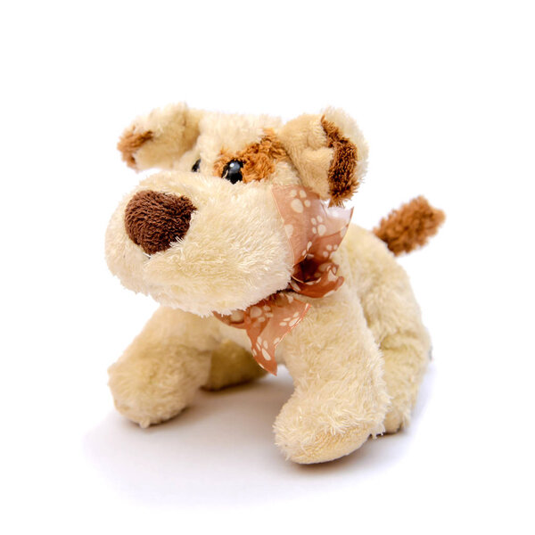 Игрушечная собака на белом фоне