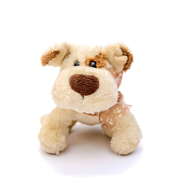 Игрушечная собака на белом фоне