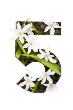 Beş numara: küçük çiçekli beyaz kalıp