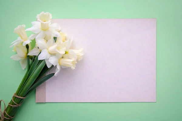 Bouquet of daffodils and a sheet of paper on a light green background — Stock Photo, Image