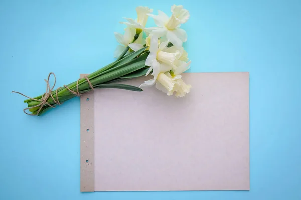 Narcisy na modrém podkladu s kouskem papíru s kopií prostor — Stock fotografie