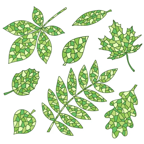 Set of abstract hand-drawn spring green leaves — 스톡 벡터